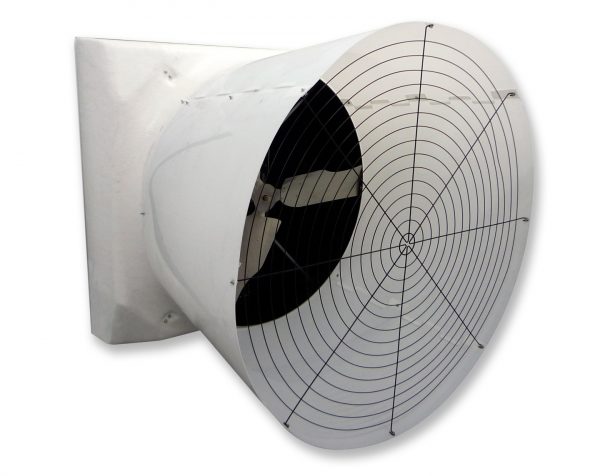 FG-Sable-Fan